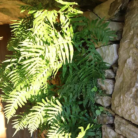 Casas Da Chainca - Turismo De Natureza *